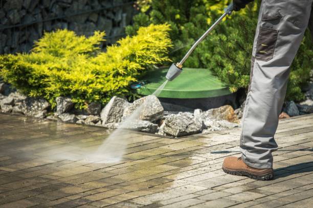 Best Animal Enclosure Cleaning  in North Merritt Island, FL