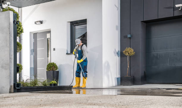 Best Driveway Pressure Washing  in North Merritt Island, FL
